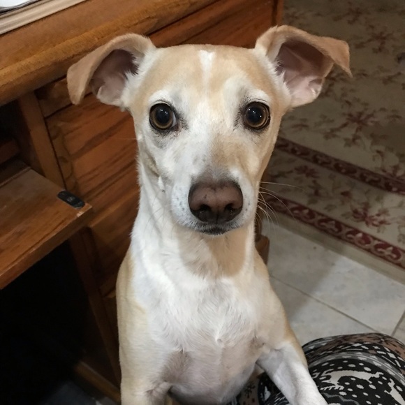 THANK YOU FOR SHOPPING ON POSHMARK! - Picture 3 of 13